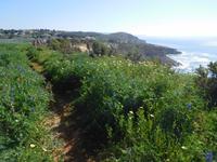 179 Wanderung Richtung Praia da Luz