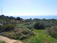 182 Wanderung Richtung Praia da Luz
