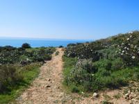 183 Wanderung Richtung Praia da Luz