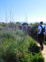 189 Wanderung Richtung Praia da Luz