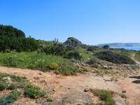 191 Wanderung Richtung Praia da Luz
