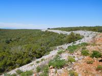 246 Rocha da Pena alter Schutzwall aus der Eisenzeit