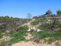 310 Küstenwanderung nach Carvoeiro