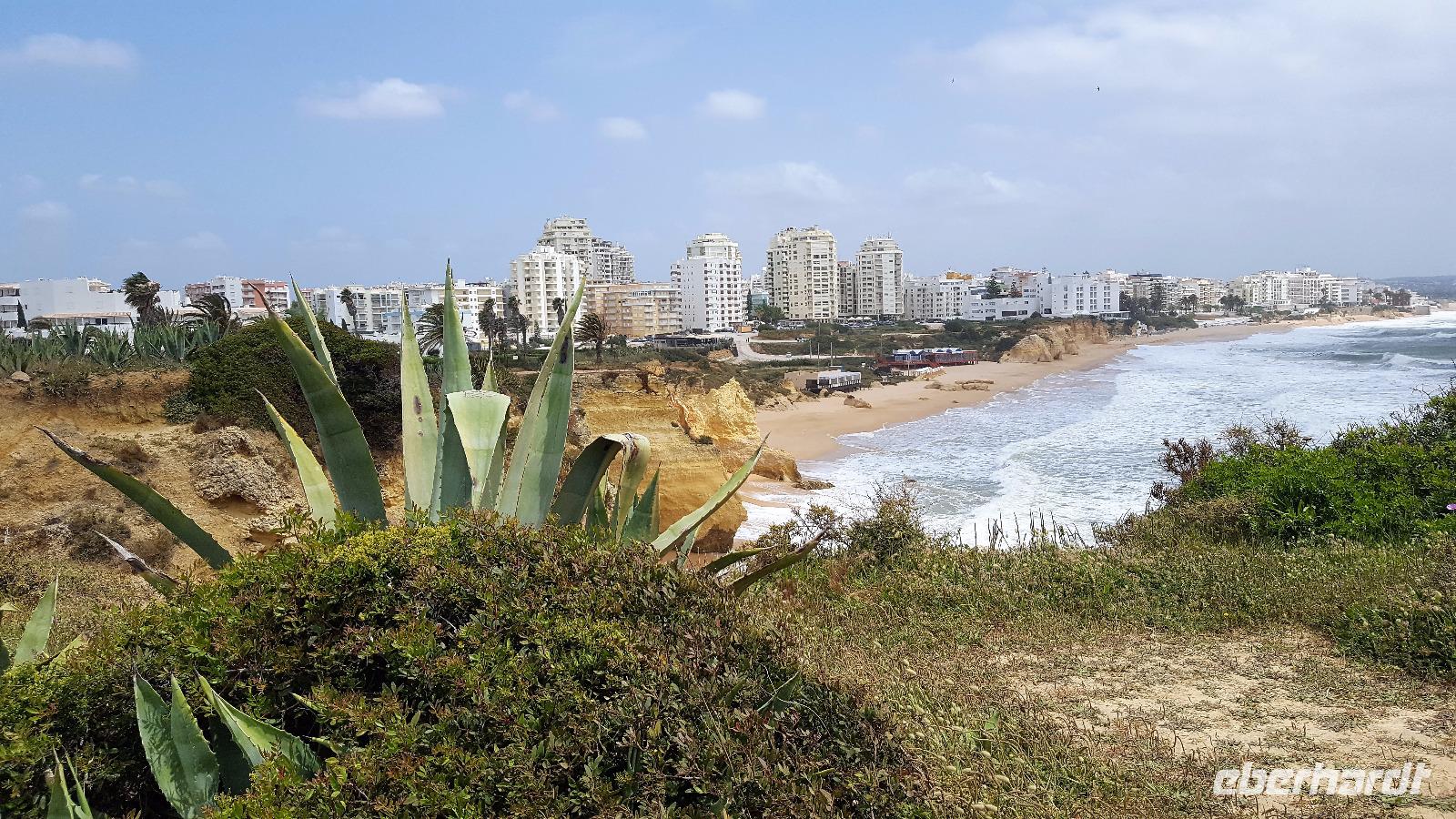 Armacao de Pera- Küste (3)