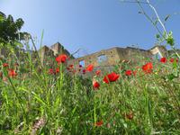 Portugal – Christusritterburg in Tomar  