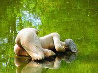 Portugal – Schloss Mateus