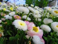 Portugal – Vila Real