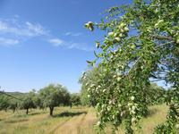 Portugal – Barca d´Alva 