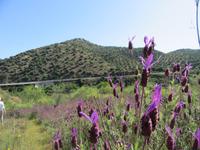 Portugal – Barca d´Alva 