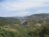 Portugal – Weinanbaugebiet Alto Douro