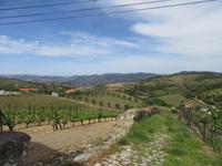 Portugal – Sao Joao da Pesqueira