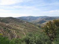 Portugal – Weinanbaugebiet Alto Douro
