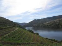 Portugal – Weinanbaugebiet Alto Douro