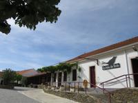 Portugal – Quinta do Tedo