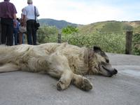 Portugal – Quinta do Tedo