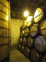 Portugal – Quinta do Tedo