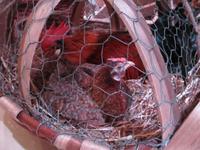 Portugal – Flusskreuzfahrt Douro