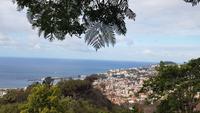 Blick auf Funchal