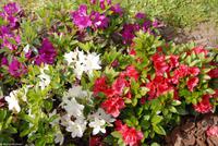 Porto & Lissabon Eberhardt-Travel PT-POLIS Martin Büchner BMS World Travel-0283