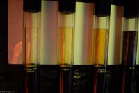 Porto & Lissabon Eberhardt-Travel PT-POLIS Martin Büchner-0626