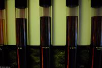 Porto & Lissabon Eberhardt-Travel PT-POLIS Martin Büchner-0627