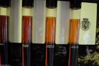 Porto & Lissabon Eberhardt-Travel PT-POLIS Martin Büchner-0628