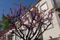 Porto & Lissabon Eberhardt-Travel PT-POLIS Martin Büchner-0906