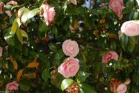 Porto & Lissabon Eberhardt-Travel PT-POLIS Martin Büchner-0909