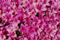 Porto & Lissabon Eberhardt-Travel PT-POLIS Martin Büchner-0967