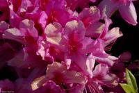 Porto & Lissabon Eberhardt-Travel PT-POLIS Martin Büchner-0977