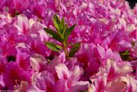 Porto & Lissabon Eberhardt-Travel PT-POLIS Martin Büchner-0978