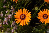 Porto & Lissabon Eberhardt-Travel PT-POLIS Martin Büchner-0990