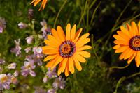 Porto & Lissabon Eberhardt-Travel PT-POLIS Martin Büchner-0992