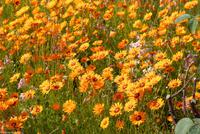 Porto & Lissabon Eberhardt-Travel PT-POLIS Martin Büchner-0997