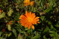 Porto & Lissabon Eberhardt-Travel PT-POLIS Martin Büchner-1004