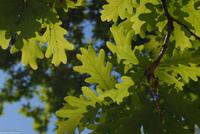 Porto & Lissabon Eberhardt-Travel PT-POLIS Martin Büchner-1051