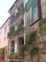 Balkonbepflanzung der Einwohner Portos