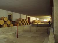 Besuch eines Weinberges bei Peso da Regua - Quinta da Pacheca
