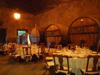 Besuch eines Weinberges bei Peso da Regua - Quinta da Pacheca