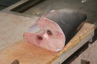 14 Thunfisch