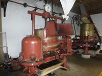 Teeplantage Cha Gorreana