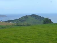 Teeplantage Cha Gorreana