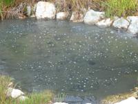 Heise Quellen in Furnas