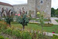 Rosengarten bei der Burg in Braga