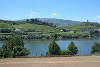 Dourotal am Hotel in Peso da Régua