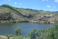 Weinhänge im Dourotal