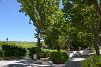 Alles sehr grün auf dem Weingut Pacheca