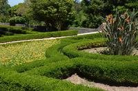 Gärten am Palast von Bussaco