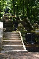 Treppe im Wald von Bussaco 