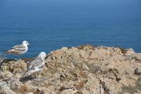 Cabo de São Vicente 